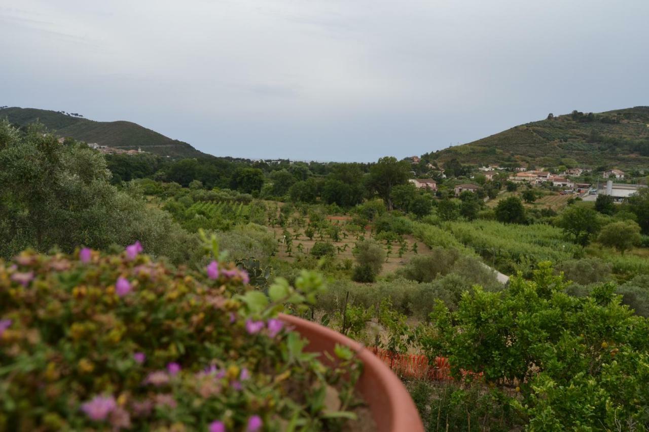 Casa Brillocco Castellabate Holiday home Montecorice