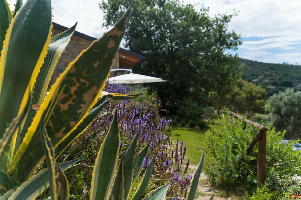 Casa Brillocco Castellabate Holiday home *