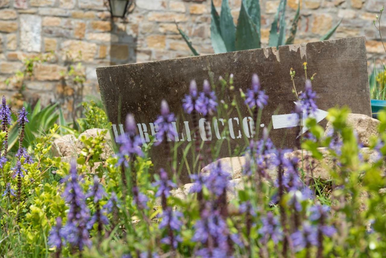 Holiday home Casa Brillocco Castellabate Montecorice
